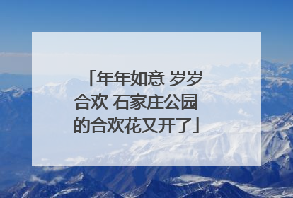 年年如意 岁岁合欢 石家庄公园的合欢花又开了